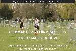 11865 photo
